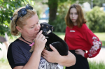 Волгоград. Муниципалитет предоставляет гранты волонтерским организациям, работающим с бездомными животными