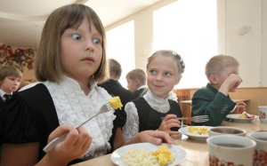 Вологодская область. Что у нас на обед: депутаты возьмут под контроль организацию питания для детей