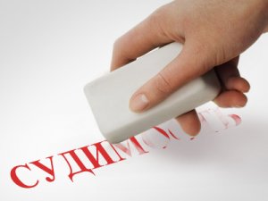Государственная Дума. Судимость судимости рознь