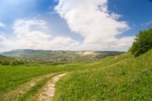 Ставропольский край. В структуре муниципального управления городских округов введут новую должность  «Сельский староста»