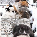 ОНФ. Движение посчитает изношенность теплотрасс в котах 