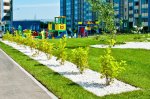 Новосибирск. Мэрия и ТОСы сделают дворы зелеными и уютными