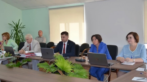 ФЭС. Состоялся установочный вебинар Федерального экспертного совета по местному и общественному самоуправлению и местным сообществам