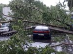 Амурская область. Унесенные ветром: муниципалитеты обяжут убрать опасные деревья и рекламные конструкции