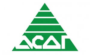 АСДГ. В Новосибирске прошла конференция, посвященная вопросам развития механизмов участия граждан в местном самоуправлении