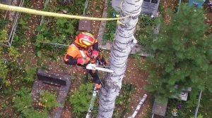 Омск. В целях безопасности на городских кладбищах убирают аварийные деревья