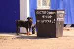«Парламентская газета».  «Мусорная реформа» пока «гуляет» сама по себе